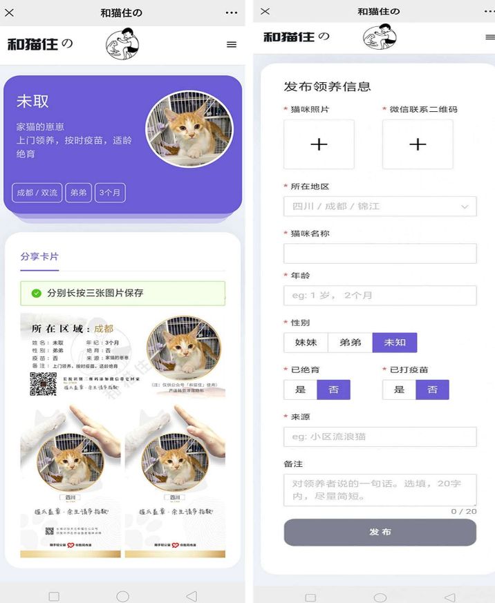 流浪猫流浪狗领养源码 PHP源码 第2张