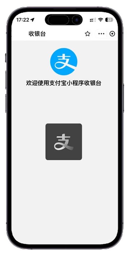 易支付精美设计的支付收银台模板 支持Apple Pay 需要配合jspay 网站源码 第4张