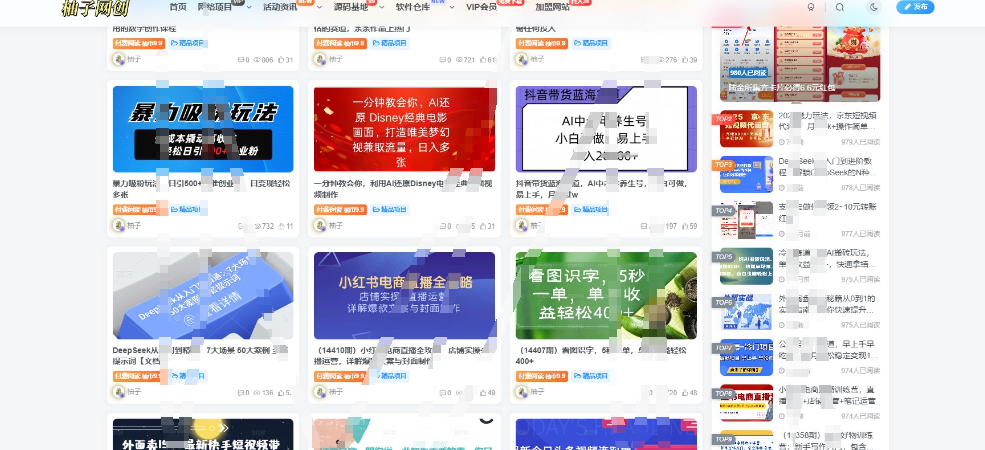 全站打包最新wordpress+免授权子比主题8.1+网创资源自动同步更新 WordPress模板 第2张
